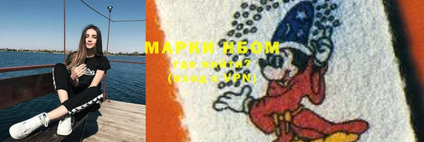 прущие грибы Нягань