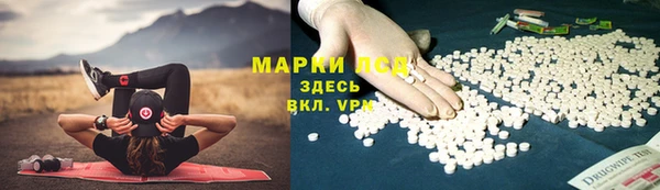 прущие грибы Нягань