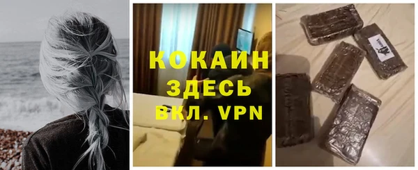 прущие грибы Нягань