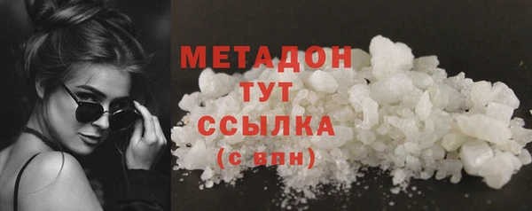 прущие грибы Нягань