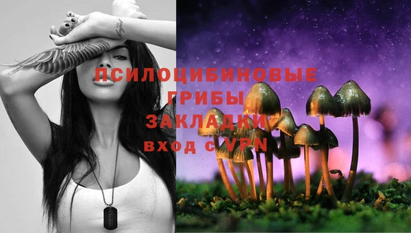 ECSTASY Нязепетровск