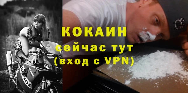 прущие грибы Нягань