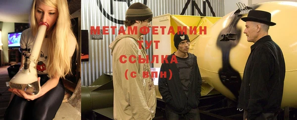 прущие грибы Нягань